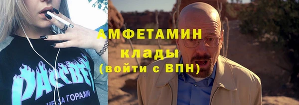 индика Балахна