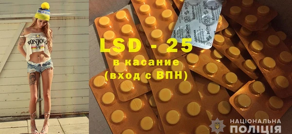 индика Балахна