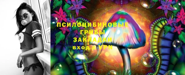 винт Арсеньев
